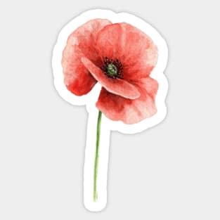 Red Poppies | Poppy Pattern | Poppy Seamless Design | black background Sticker